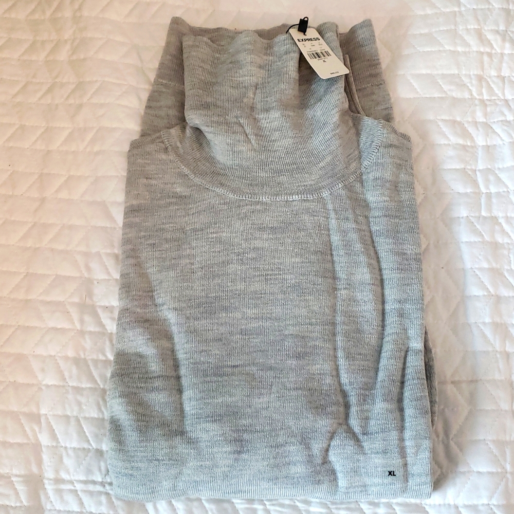 NWT Express Men's Merino Wool Turtle Neck